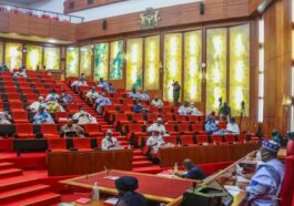 Senate Approves N876b NDDC Budget, N451m For Aides | Daily Report Nigeria