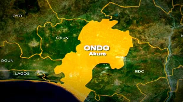 Ondo Palm Wine Tapper Rapes 80-Year-Old Raped to Death | Daily Report Nigeria