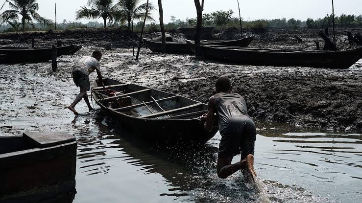 Nigeria Reveals Amount Needed For Oil Spills Clean up | Daily Report Nigeria