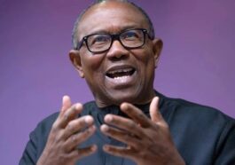 Presidential Tribunal: No Backing Out — Obi | Daily Report Nigeria