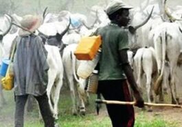 Police, Army Fingered as Herdsmen Kill 28 in Benue