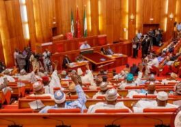 Senate Okays N1trn NDDC Budget 2 Weeks to Session End