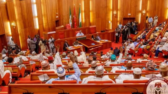 Senate Okays N1trn NDDC Budget 2 Weeks to Session End