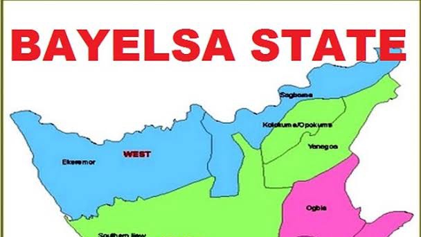 10-year-old Kills Friend with Pistol in Bayelsa | Daily Report Nigeria