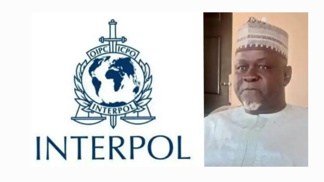 Interpol Invites Suspended Adamawa REC, Yunusa-Ari | Daily Report Nigeria