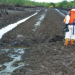 FG Approves N129bn for Ogoni Clean-up, Other Niger Delta Projects