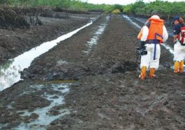 FG Approves N129bn for Ogoni Clean-up, Other Niger Delta Projects