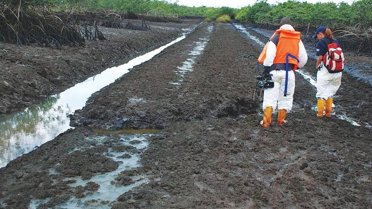 FG Approves N129bn for Ogoni Clean-up, Other Niger Delta Projects