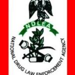 NDLEA Weighs Use of Cannabis in US, UK, Nigeria | Daily Report Nigeria