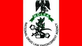 NDLEA Weighs Use of Cannabis in US, UK, Nigeria | Daily Report Nigeria