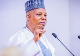 Some Politicians Secretly Pushing For Muslim Senate President, Speaker – Shettima | Daily Report Nigeria