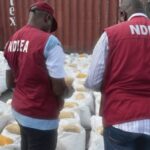 NDLEA Raids Meth Laboratory In Lagos | Daily Report Nigeria