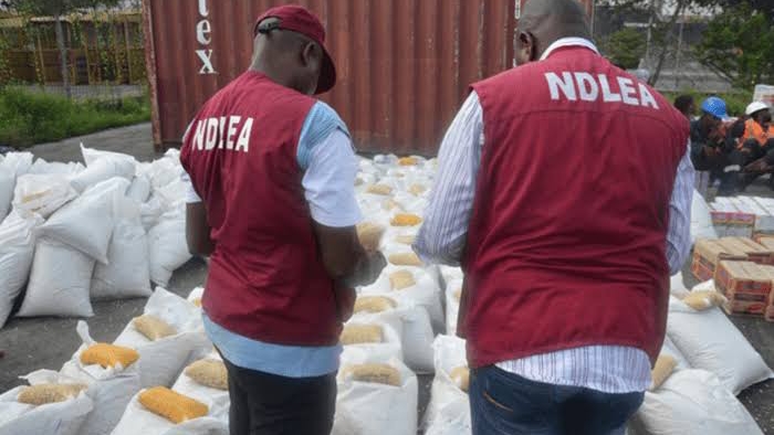 NDLEA Raids Meth Laboratory In Lagos | Daily Report Nigeria