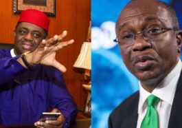 Monetary Policies: Fani-Kayode Curses Emefiele | Daily Report Nigeria