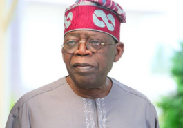 Don't Appoint a Politician as Agriculture Minister, Farmers Tells Tinubu | Daily Report Nigeria