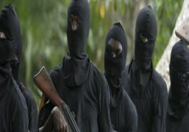 Gunmen Kill INEC Official In Ebonyi | Daily Report Nigeria