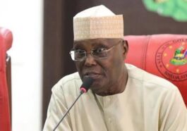 2023: How Obi, Ayu Caused Atiku's Failure | Daily Report Nigeria