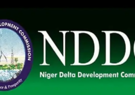 Group Calls For NDDC Probe Over Board Dissolution