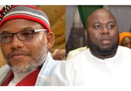 Don't Release Nnamdi Kanu — Asari Dokubo Tells Tinubu | Daily Report Nigeria