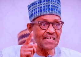 'Don't Call me as Witness Before Any Court,' Buhari Warns Appointees | Daily Report Nigeria