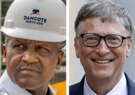 Dangote, Bill Gate to Meet with Tinubu | Daily Report Nigeria