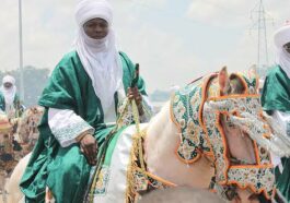 Celebrating the Richness of Northern Nigeria's Muslim Heritage | Daily Report Nigeria