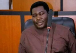 Gunmen Kidnap Bayelsa Lawmaker, Irigha Brigidi