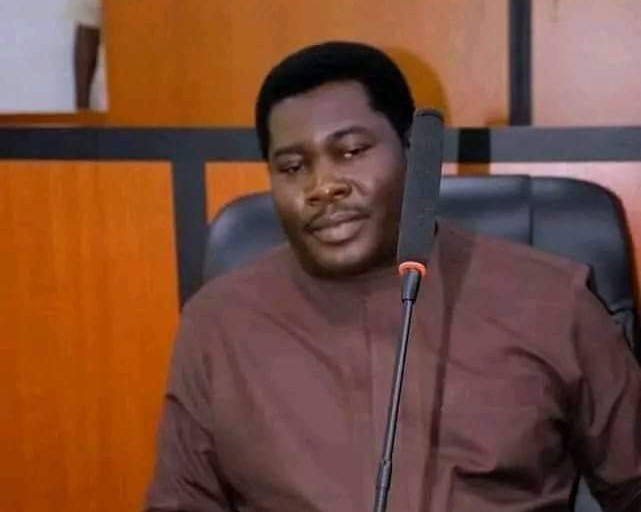 Gunmen Kidnap Bayelsa Lawmaker, Irigha Brigidi