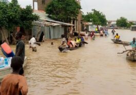 NEMA Issues Flood Alert to 14 States, 31 Communities