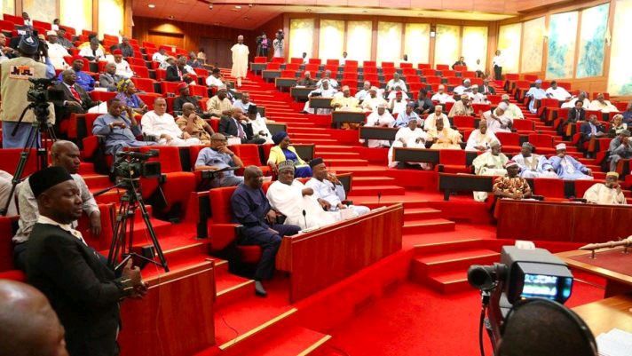 Senate Moves to Scrap Age Limit Requirement for Employment