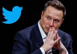 Elon Musk Changes Twitter Logo | Daily Report Nigeria