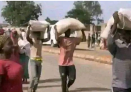 Adamawa Youths Loot Government Grain Stores, Private Shops | Daily Report Nigeria