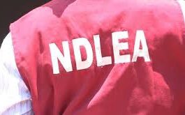 NDLEA Operatives Kill 2 Persons During Raid in Lagos | Daily Report Nigeria