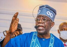 Tinubu Presents Academic Documents in Court