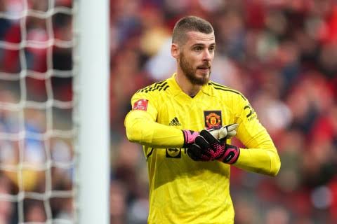 Unveiling the Legendary Status of David De Gea: A Goalkeeping Icon