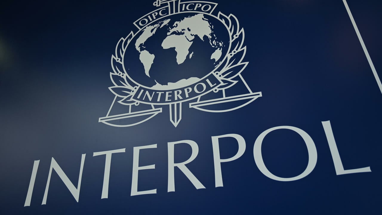 Ese Cynthia Daniel: INTERPOL Declares Nigerian Woman For N750m Fraud