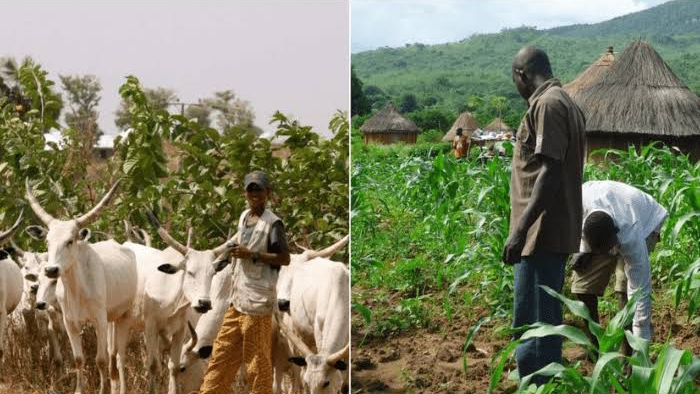 How 60,000 Nigerians Lost Their Lives to Farmers-herders Crises