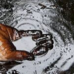 Nigeria Loses N1.9tn to Crude Oil Theft in July | Daily Report Nigeria
