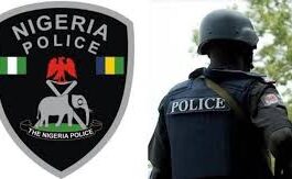 Man Rapes, Kills 8-Year-Old Girl in Katsina | Daily Report Nigeria