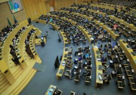 Coup: Planned Use of Force in Niger Republic Divides ECOWAS Parliament