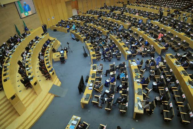 Coup: Planned Use of Force in Niger Republic Divides ECOWAS Parliament