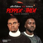 Multibee Drops 'Pepper Dem' Single Featuring Lizberg | Daily Report Nigeria