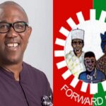 Peter Obi, LP File 51 Grounds Appeal at Supreme Court