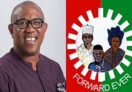 Peter Obi, LP File 51 Grounds Appeal at Supreme Court