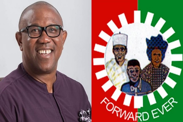 Peter Obi, LP File 51 Grounds Appeal at Supreme Court