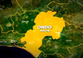 Ondo Woman Kills 65-year-old Husband With Pestle | Daily Report Nigeria