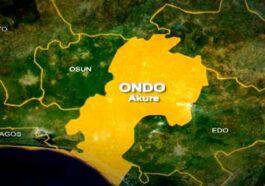 Ondo Commissioner Beaten by APC Chairman Over Palliatives Hospitalised | Daily Report Nigeria