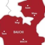 Subsidy Removal: Bauchi Govt Distributes Rice to Citizens | Daily Report Nigeria