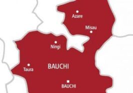 Subsidy Removal: Bauchi Govt Distributes Rice to Citizens | Daily Report Nigeria