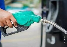 Petrol Consumption Declines by 30% After Subsidy Removal | Daily Report Nigeria